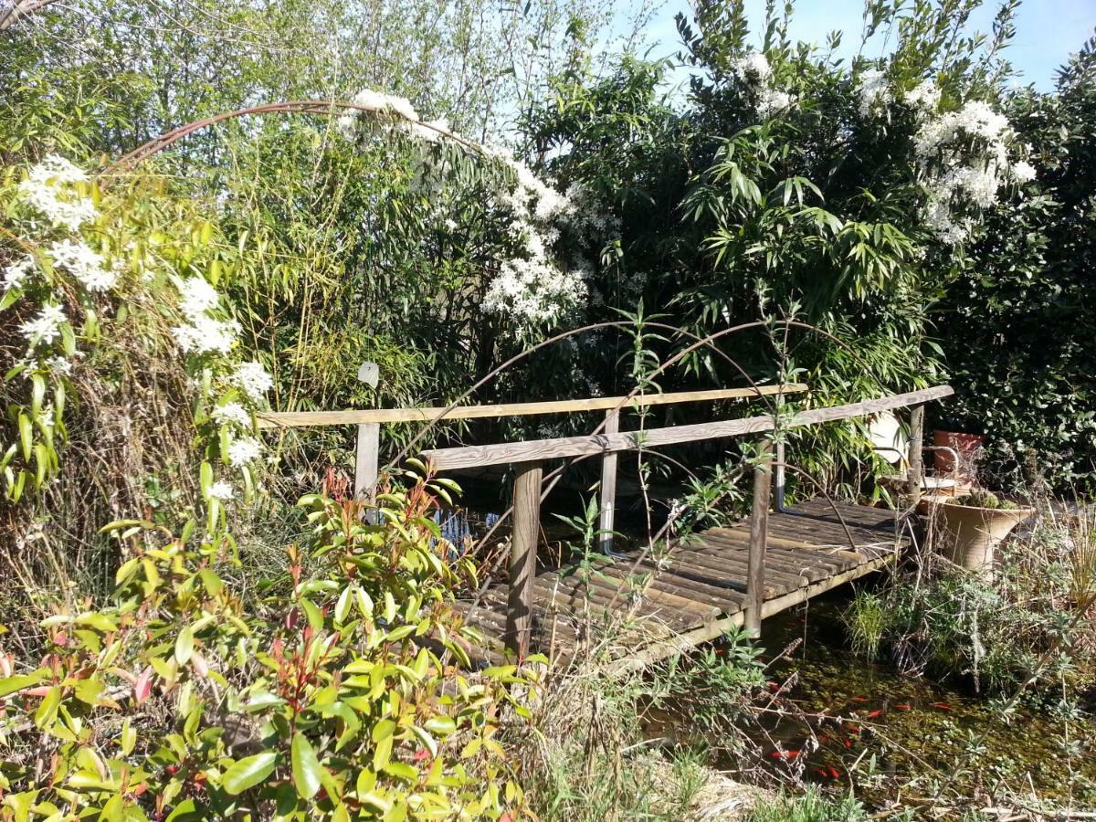 B&B Palu Lazise Exterior foto
